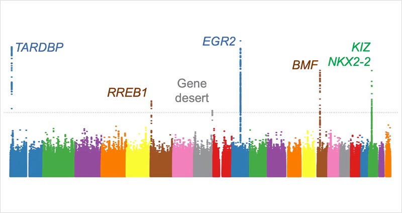 Translational Research on Cancer among Children